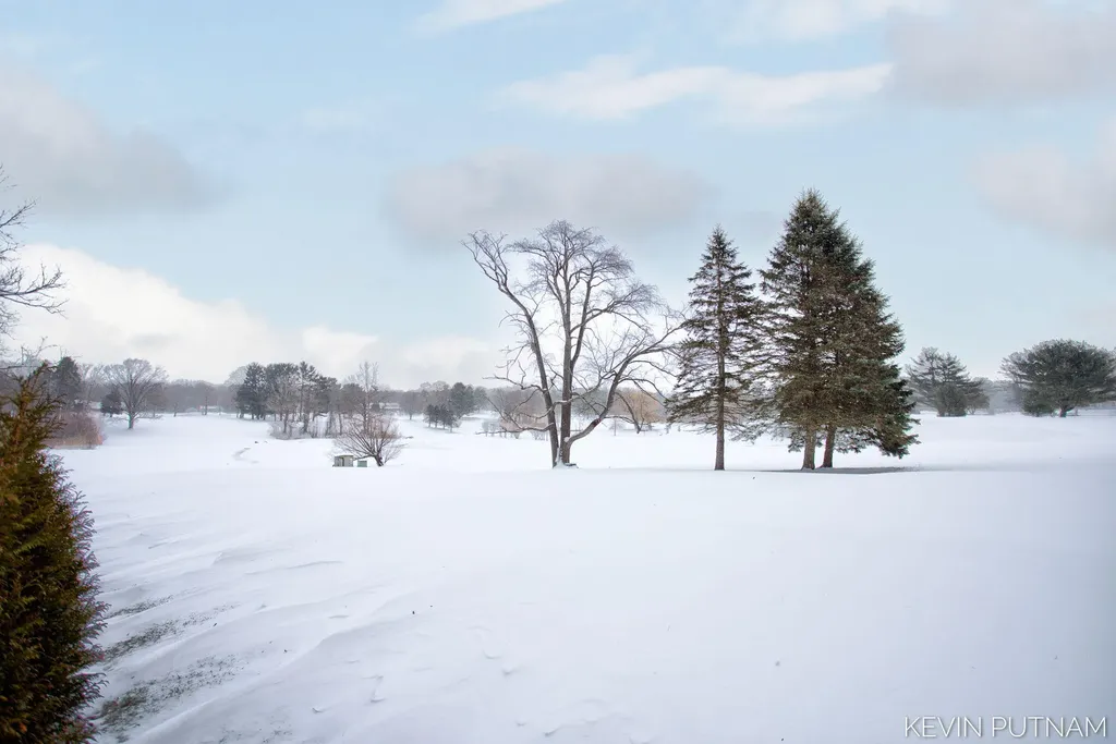 6515 134th Ave Avenue Saugatuck Township MI 49453