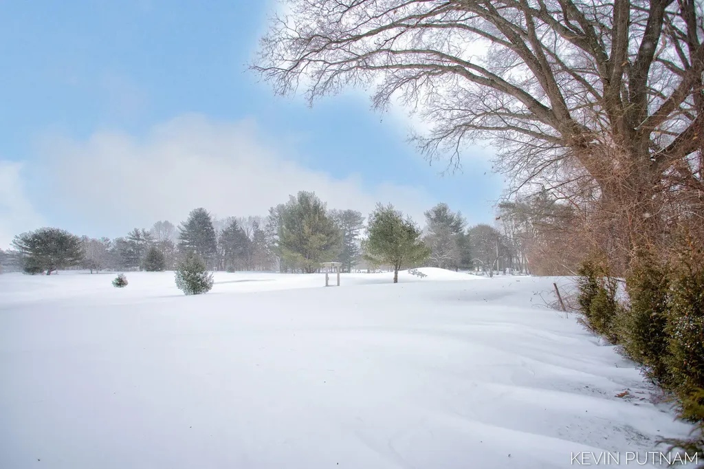 6515 134th Ave Avenue Saugatuck Township MI 49453