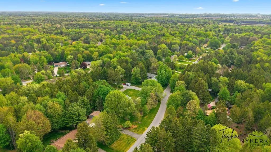 15849 Ryan Drive Park Township MI 49424