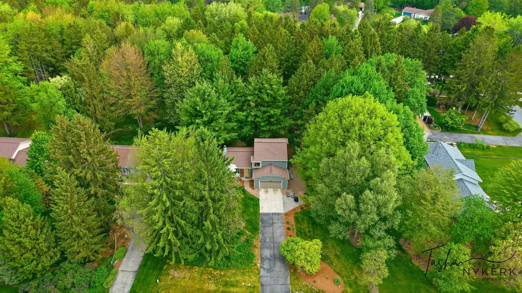 15849 Ryan Drive Park Township MI 49424