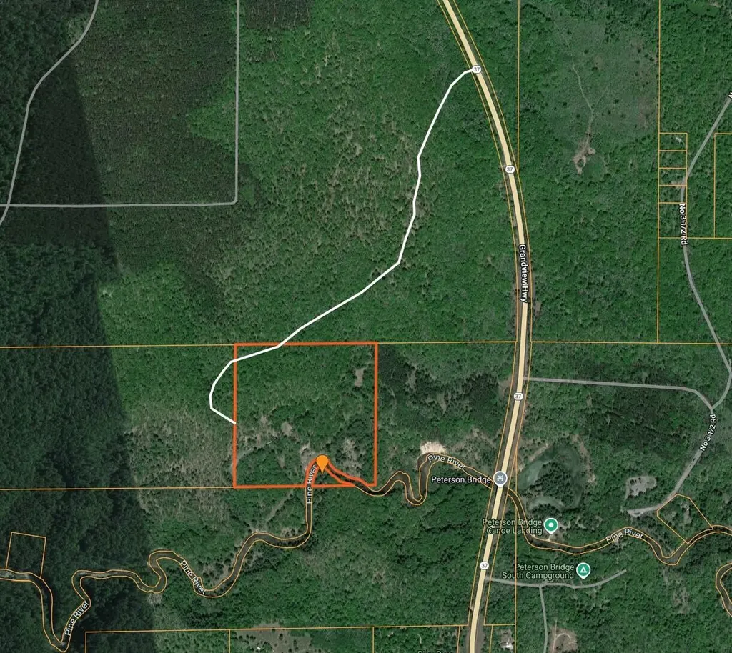 9184 M-37 South Branch Township MI 49689
