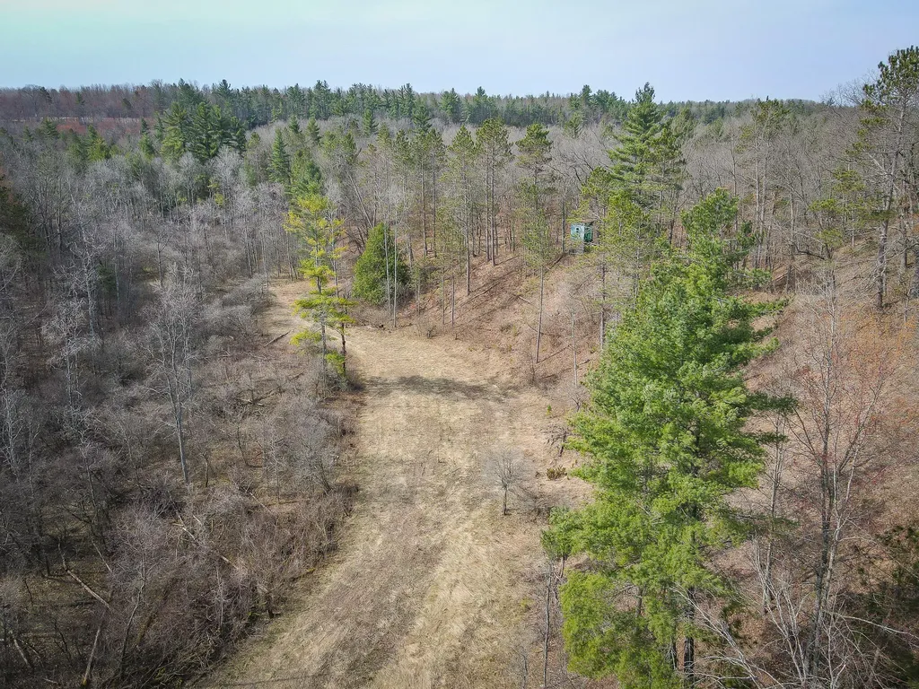 9184 M-37 South Branch Township MI 49689