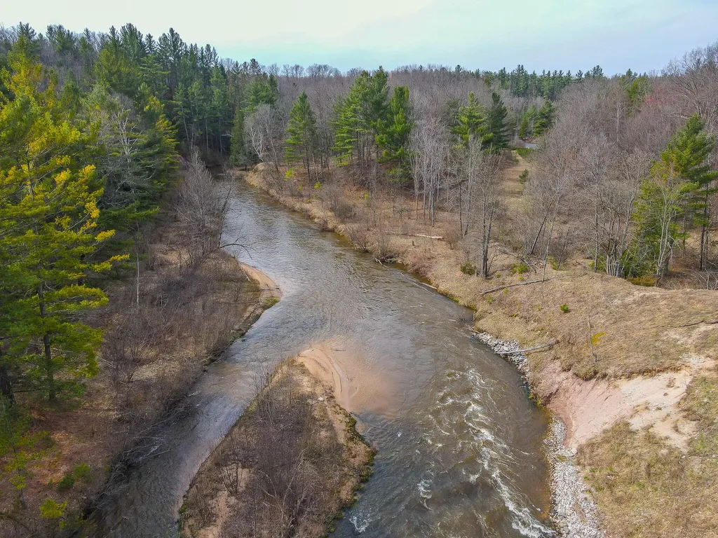 9184 M-37 South Branch Township MI 49689