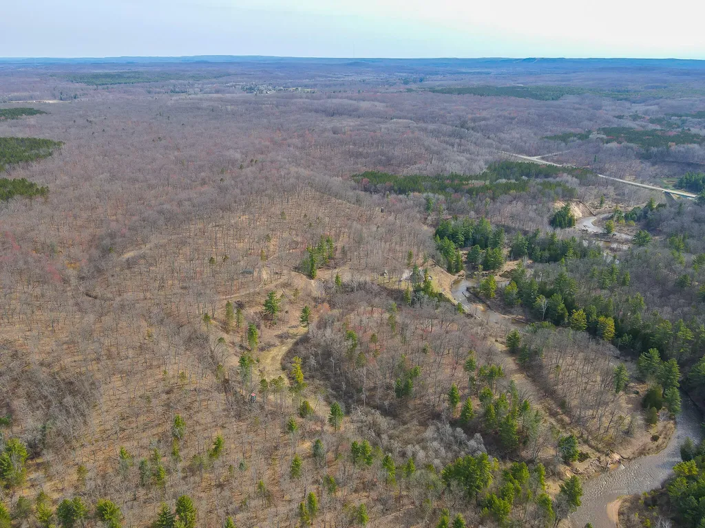 9184 M-37 South Branch Township MI 49689