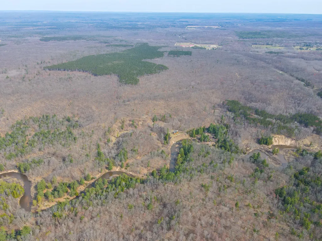9184 M-37 South Branch Township MI 49689