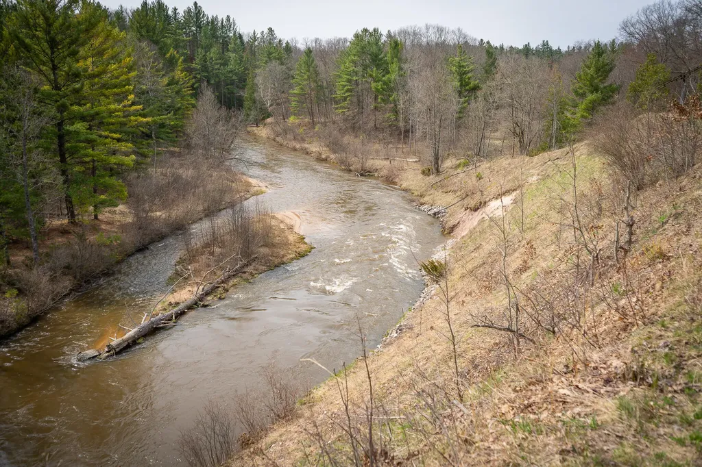 9184 M-37 South Branch Township MI 49689