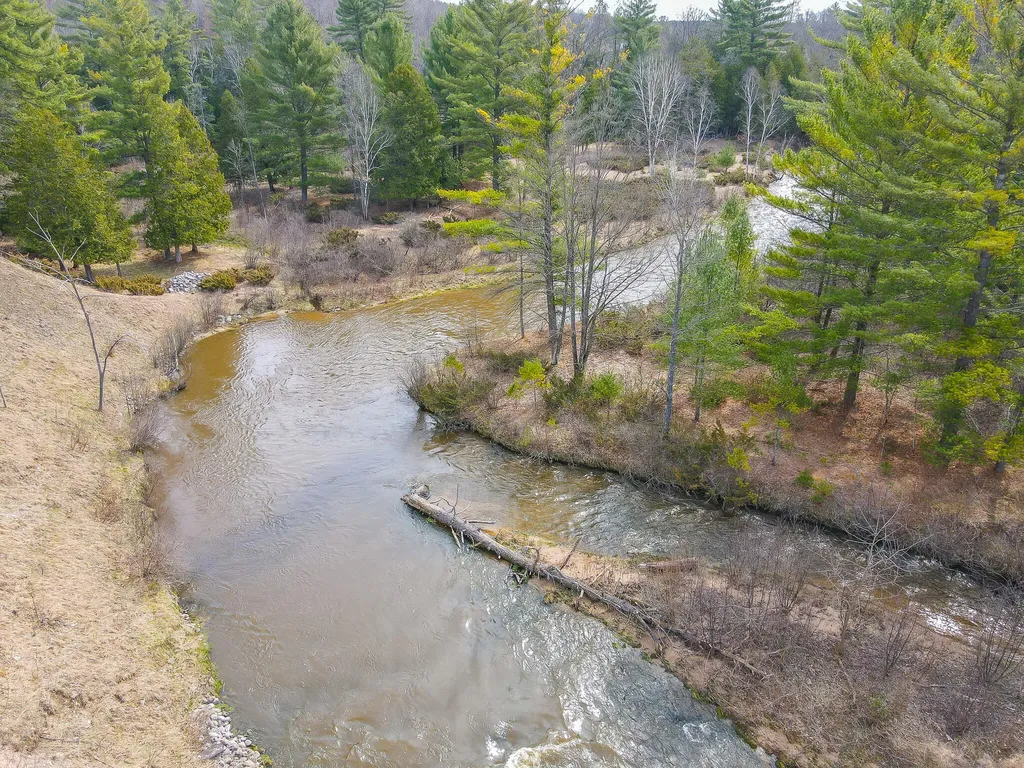 9184 M-37 South Branch Township MI 49689
