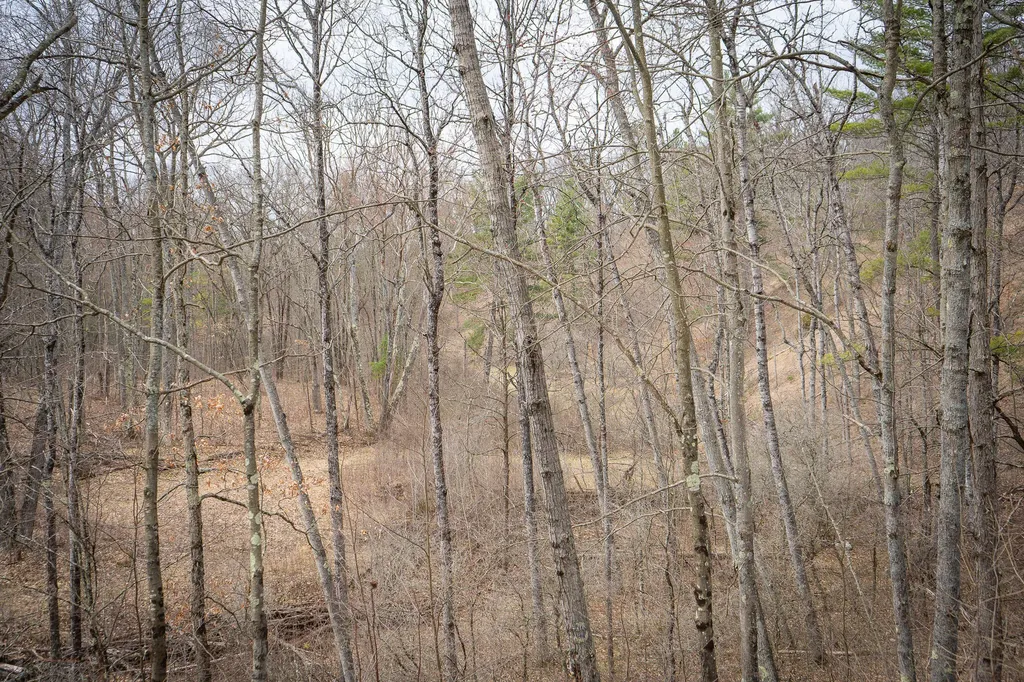 9184 M-37 South Branch Township MI 49689