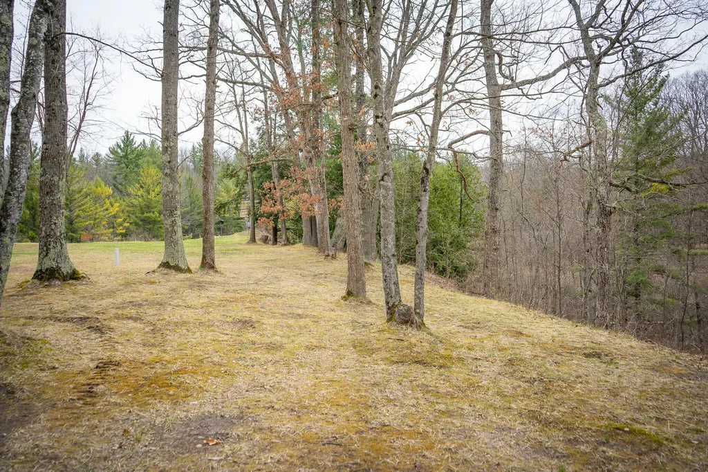 9184 M-37 South Branch Township MI 49689