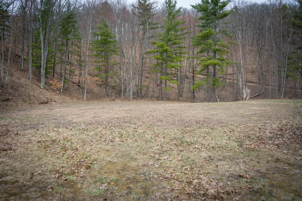 9184 M-37 South Branch Township MI 49689