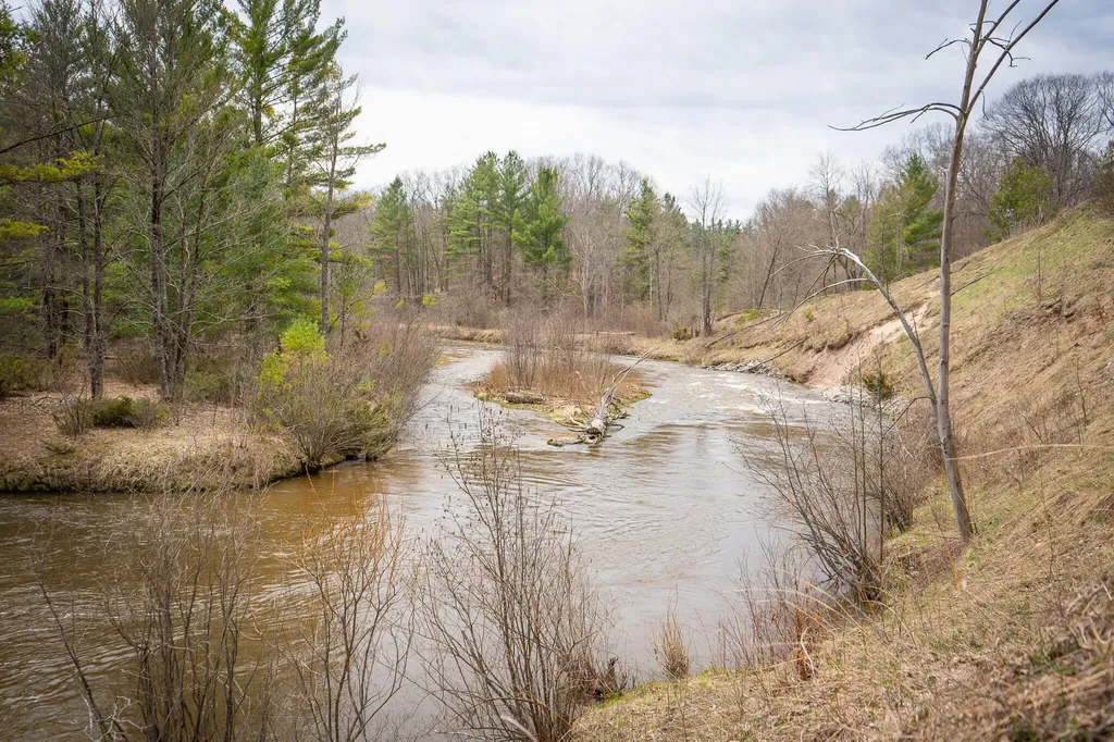9184 M-37 South Branch Township MI 49689