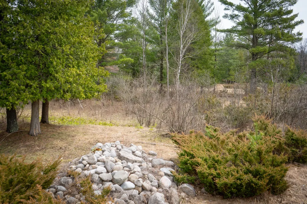 9184 M-37 South Branch Township MI 49689