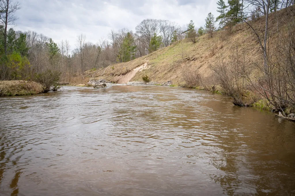 9184 M-37 South Branch Township MI 49689