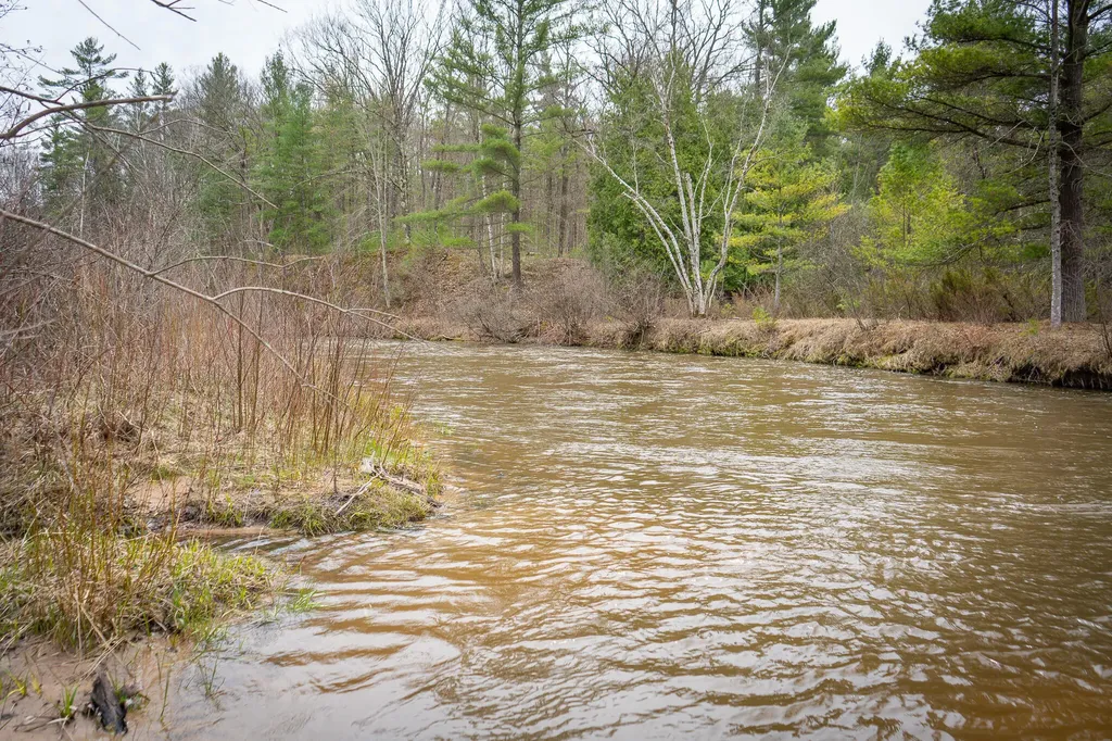 9184 M-37 South Branch Township MI 49689