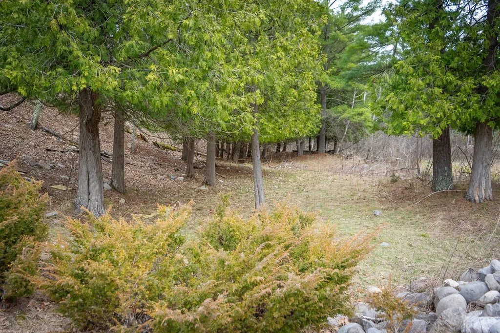 9184 M-37 South Branch Township MI 49689