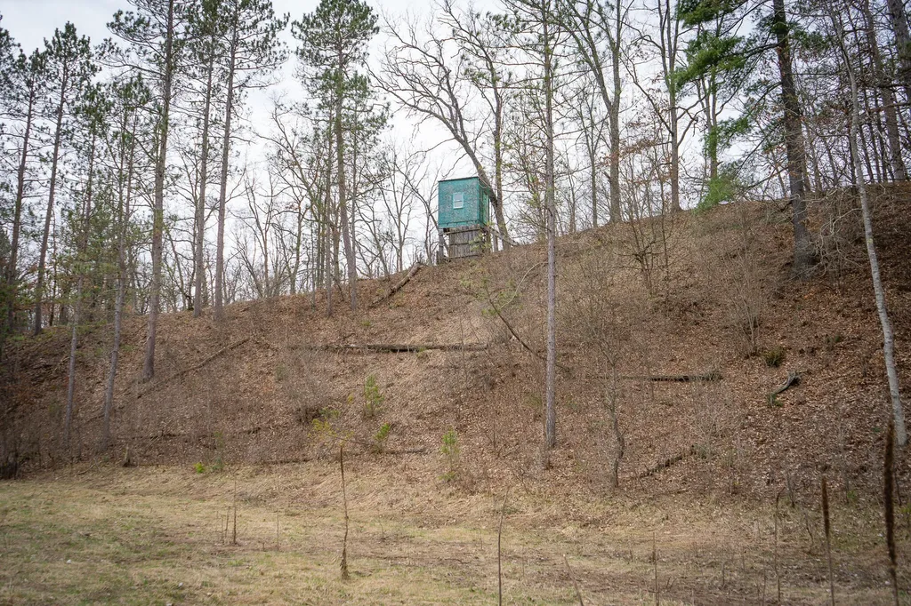 9184 M-37 South Branch Township MI 49689