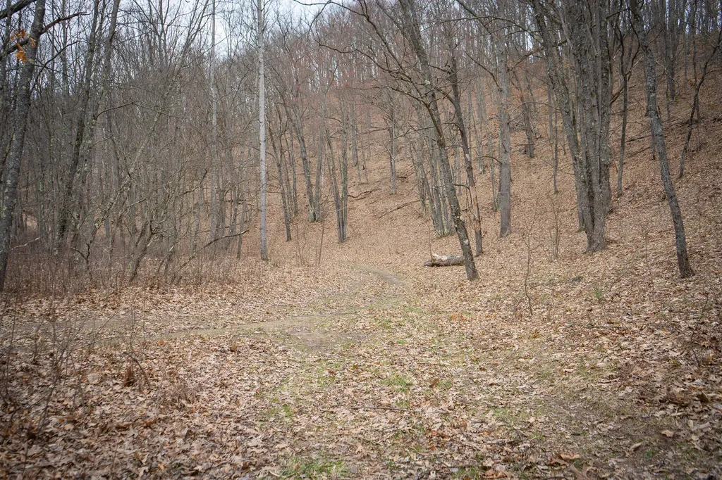9184 M-37 South Branch Township MI 49689