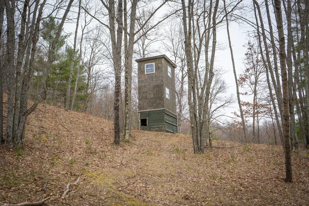 9184 M-37 South Branch Township MI 49689