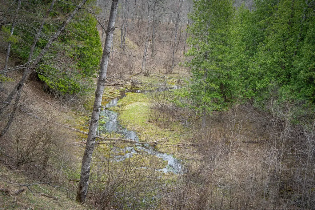 9184 M-37 South Branch Township MI 49689