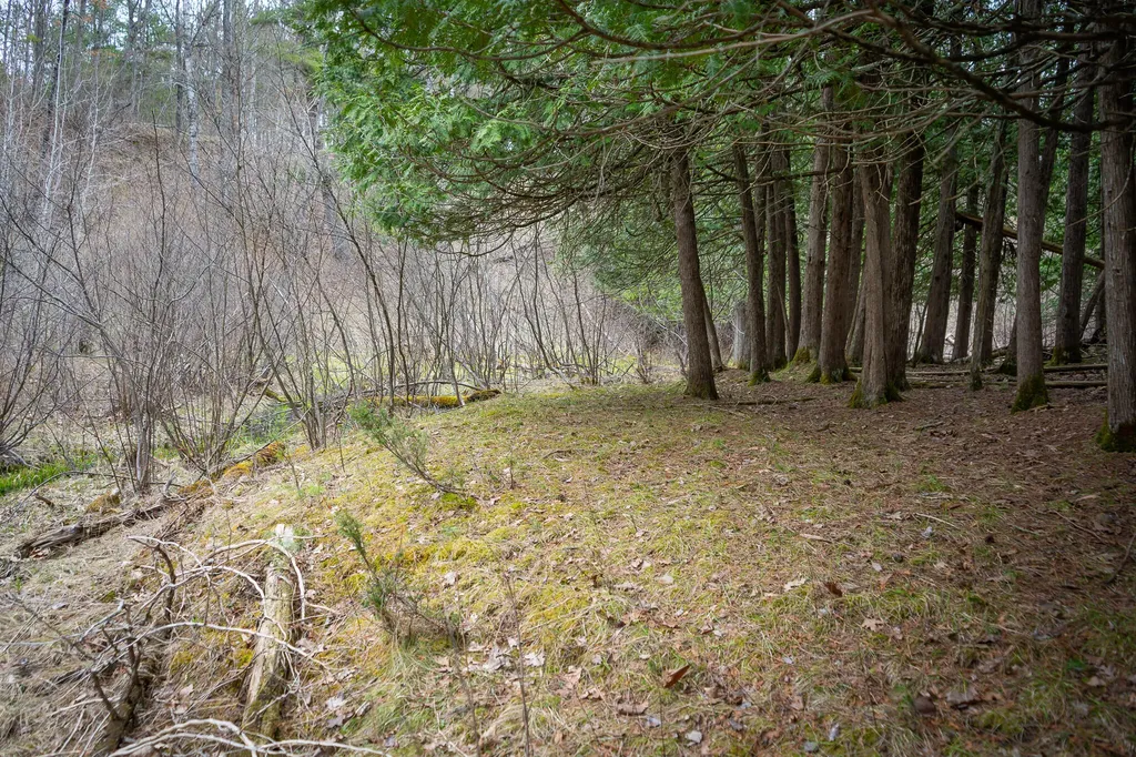 9184 M-37 South Branch Township MI 49689