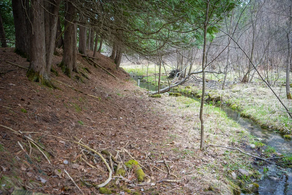 9184 M-37 South Branch Township MI 49689