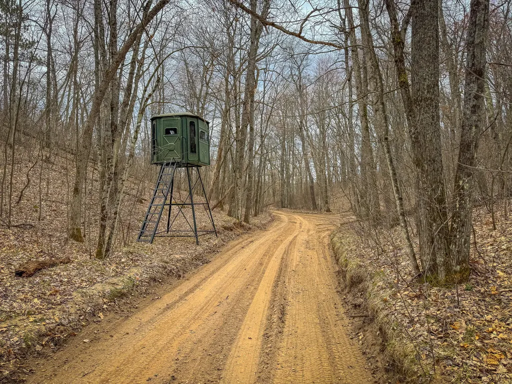 9184 M-37 South Branch Township MI 49689