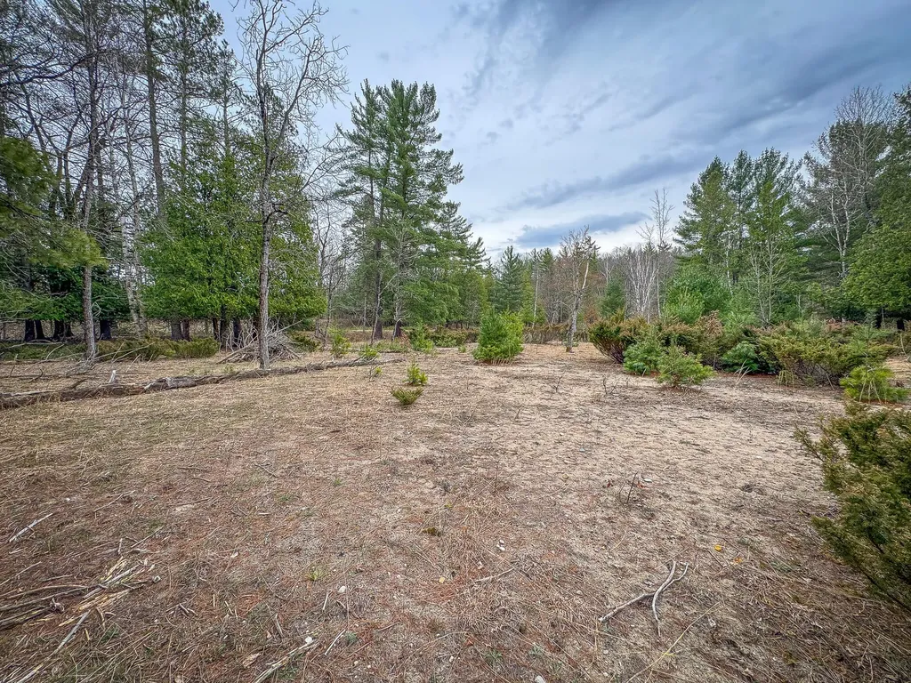 9184 M-37 South Branch Township MI 49689