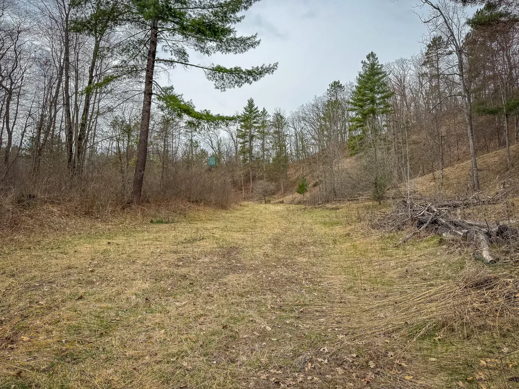 9184 M-37 South Branch Township MI 49689