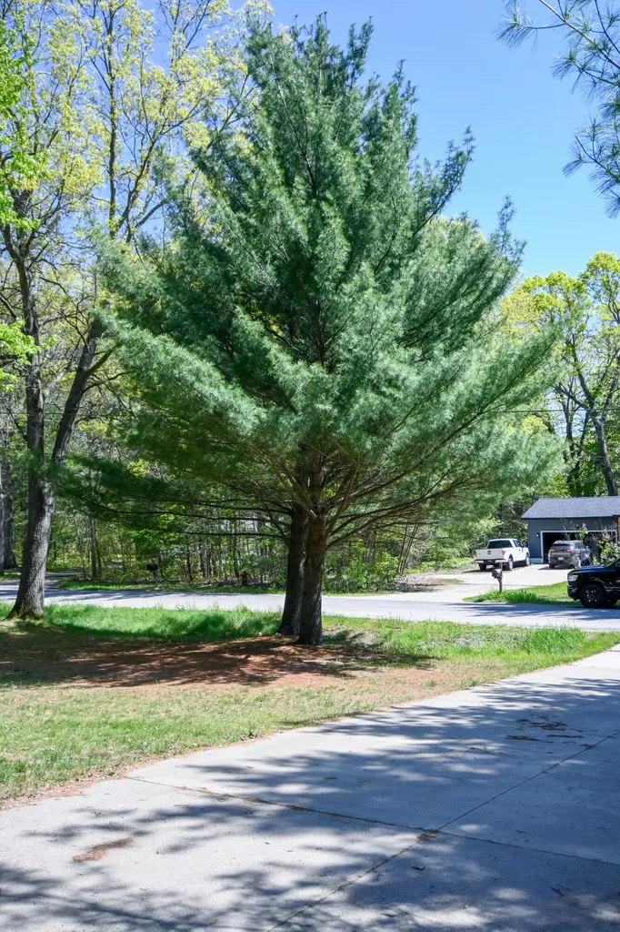 2908 Genesee Avenue Muskegon Charter Township MI 49442