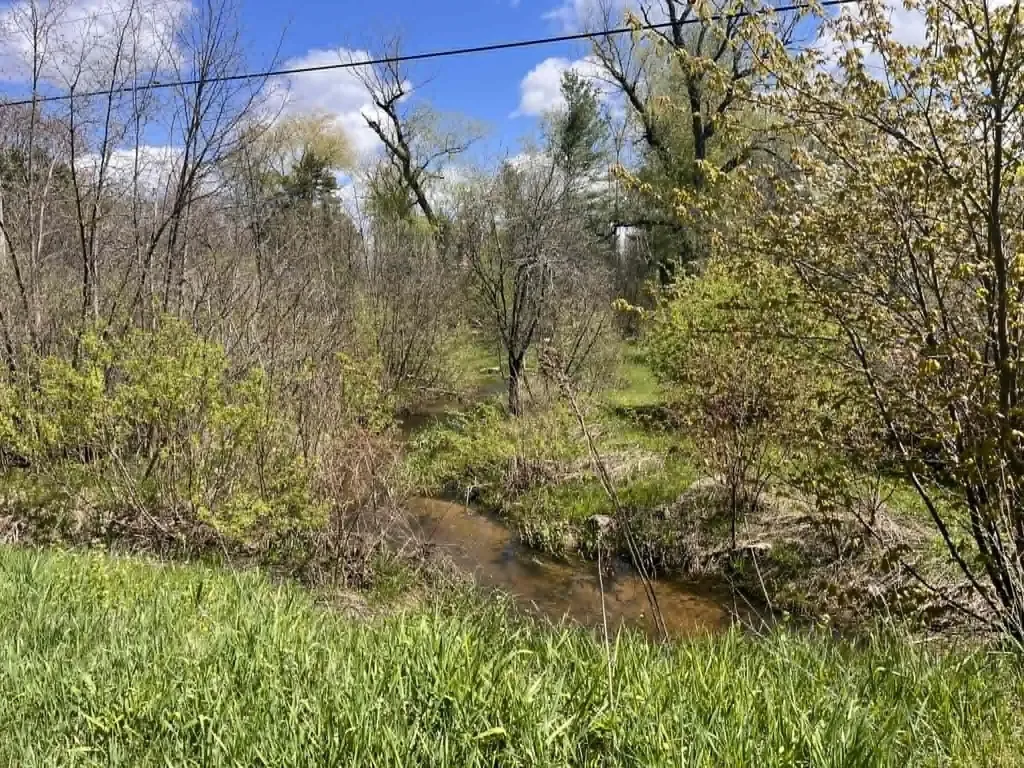 2619 E Bard Road Dalton Township MI 49445