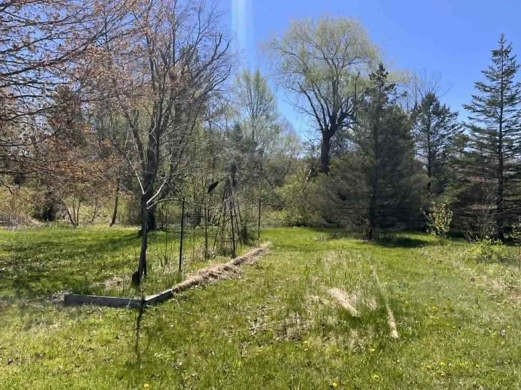 2619 E Bard Road Dalton Township MI 49445