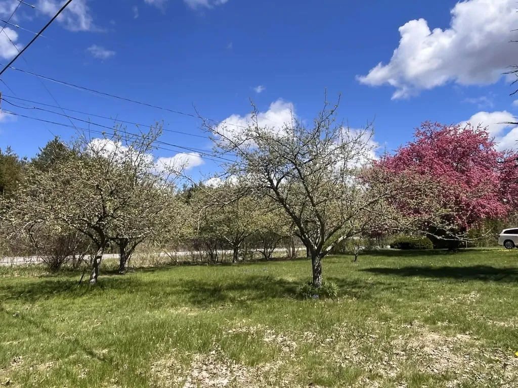 2619 E Bard Road Dalton Township MI 49445