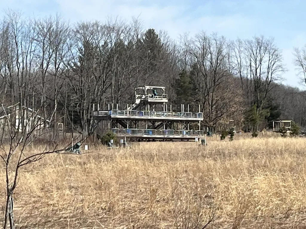 264 S 152nd Avenue Ferry Township MI 49455