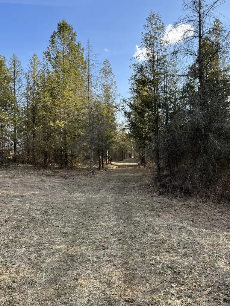 264 S 152nd Avenue Ferry Township MI 49455