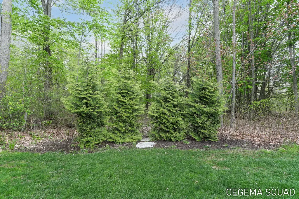 5391 Eagle Pass Drive Blendon Township MI 49426