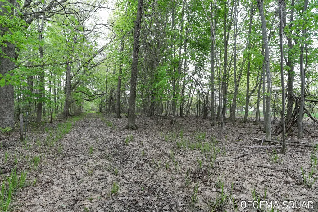 5391 Eagle Pass Drive Blendon Township MI 49426