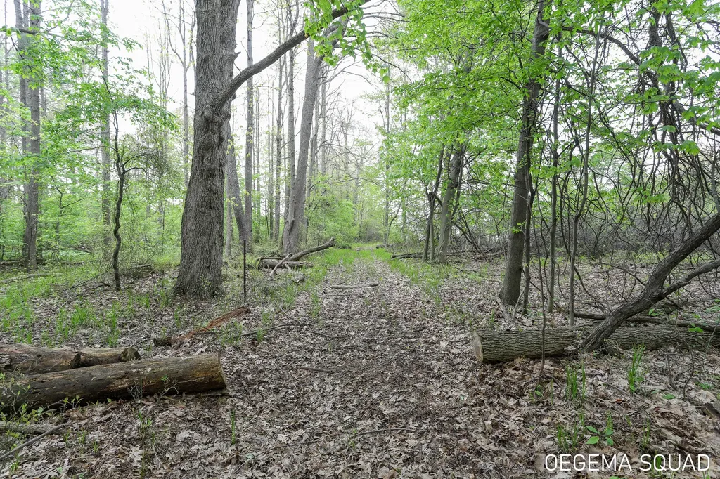 5391 Eagle Pass Drive Blendon Township MI 49426