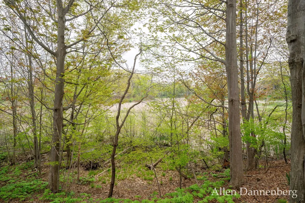 845 Bluff Creek Drive Grand Haven City MI 49417