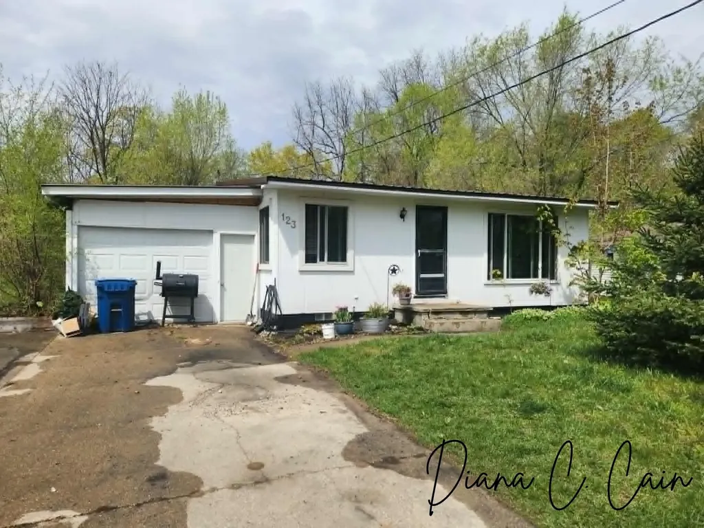 123 Riverside Drive Hart City MI 49420