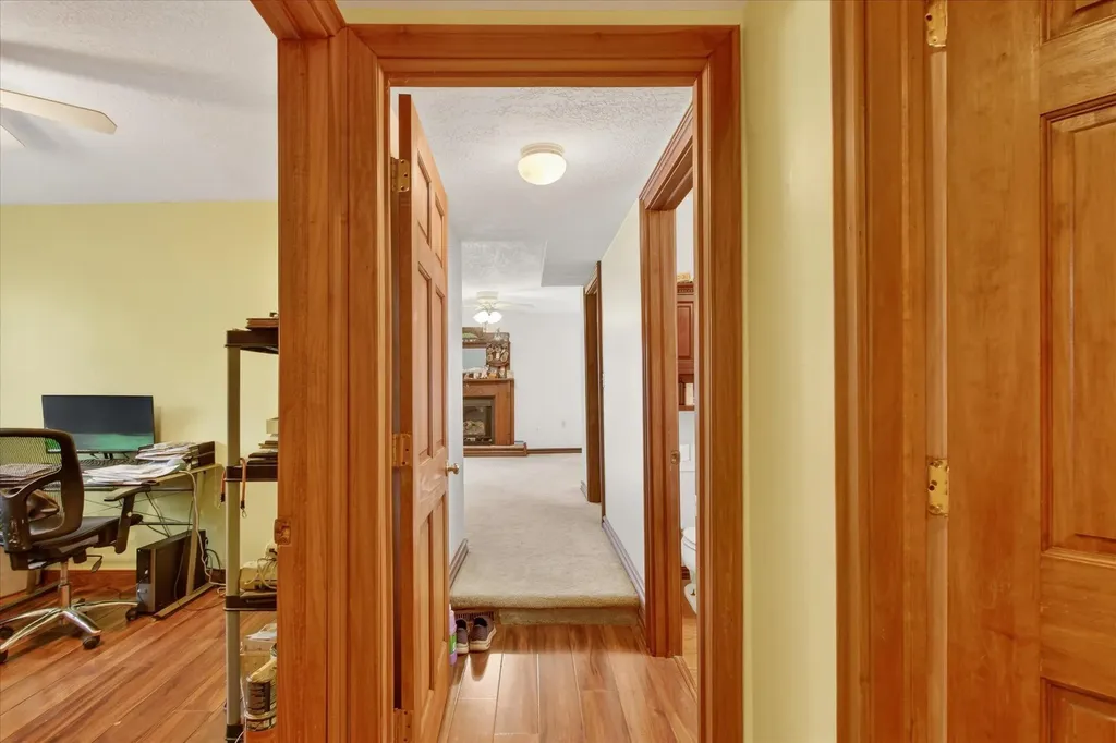 10131 Birch Drive Ferris Township MI 48877