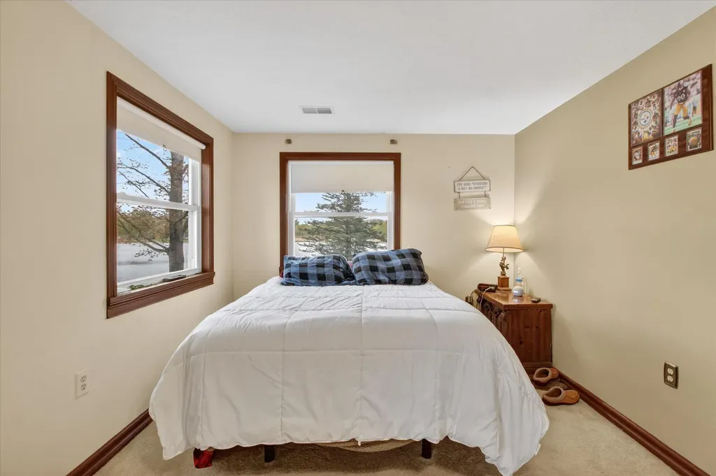10131 Birch Drive Ferris Township MI 48877