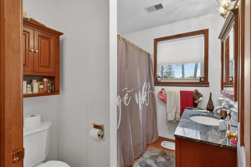 10131 Birch Drive Ferris Township MI 48877