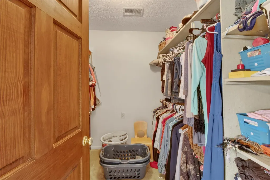 10131 Birch Drive Ferris Township MI 48877