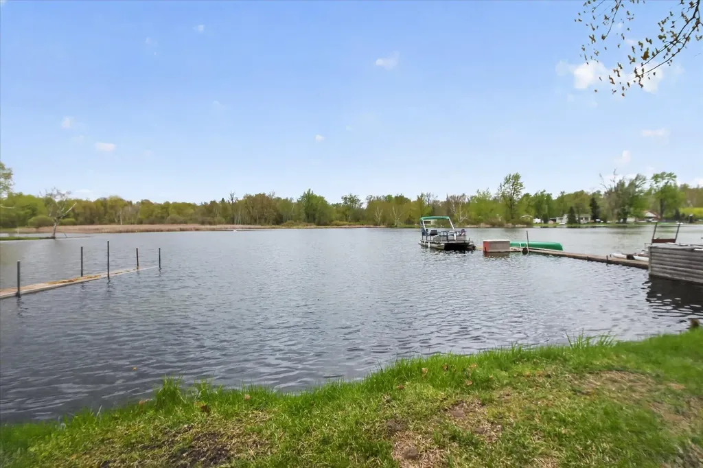 10131 Birch Drive Ferris Township MI 48877