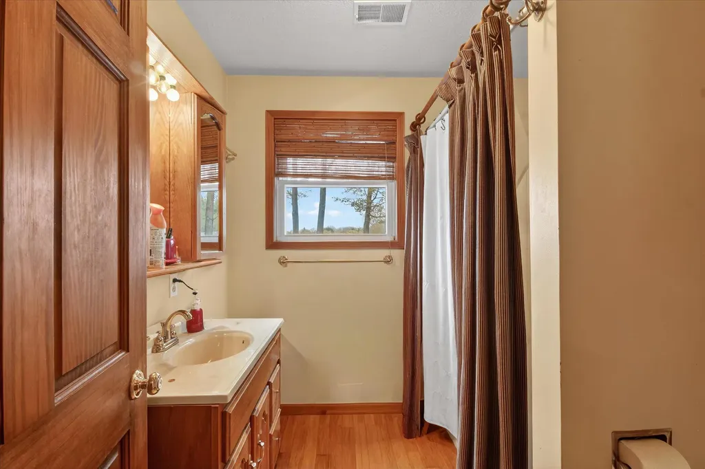 10131 Birch Drive Ferris Township MI 48877