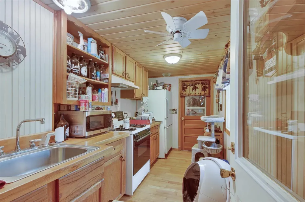 10131 Birch Drive Ferris Township MI 48877