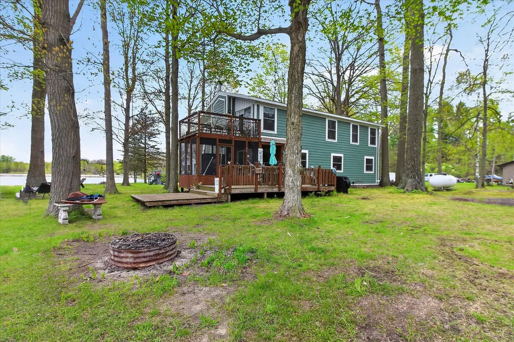 10131 Birch Drive Ferris Township MI 48877