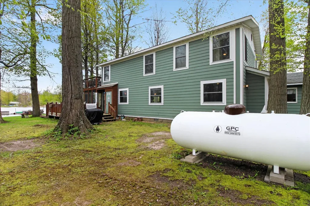 10131 Birch Drive Ferris Township MI 48877