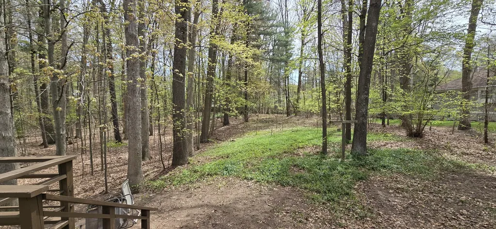 15460 Kelly Street Spring Lake Township MI 49456