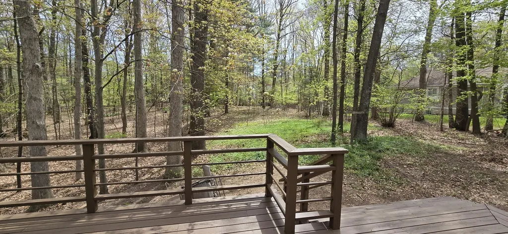 15460 Kelly Street Spring Lake Township MI 49456